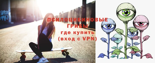 ГАЛЛЮЦИНОГЕННЫЕ ГРИБЫ Баксан