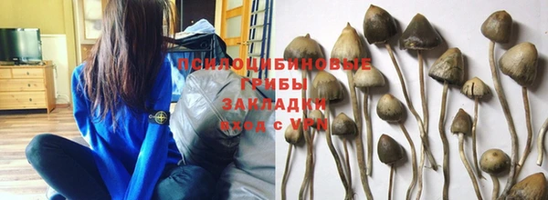 Альфа ПВП Балабаново